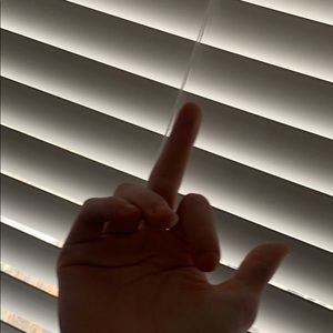 Meet your Posher, Riley